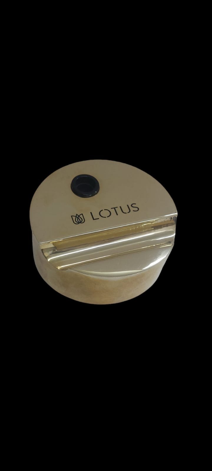Lotus Pen Holder